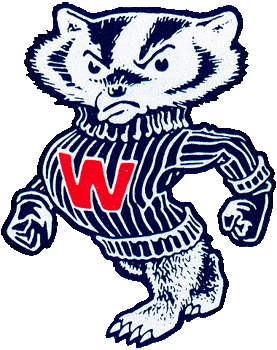 Wisconsin Badgers 1967-1990 Primary Logo iron on transfers for clothing